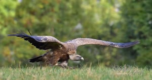  - and Take Off !