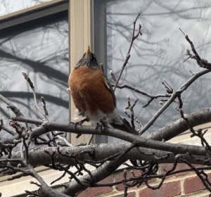 Where’s the Spring 