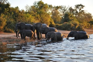 Family Playtime 