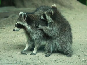 Preening My Mom