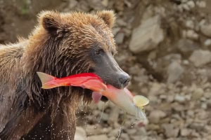 Mouth Full