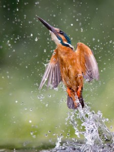 Missile by Jamie MacArthur