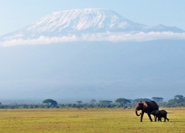 Mt. Kilimanjaro Na Tembo