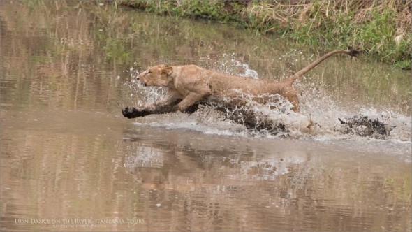 A Dash on Water