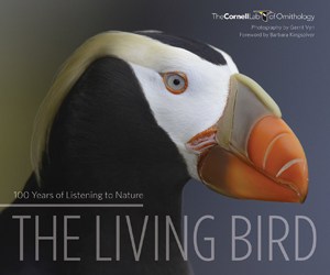 the-living-bird-100-years-of-listening-to-nature