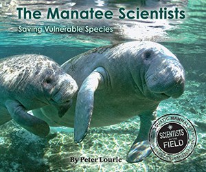 the-manatee-scientists-saving-vulnerable-species