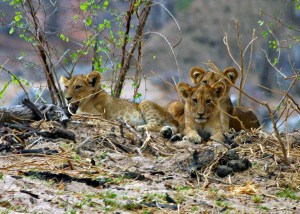 Waiting for Mum