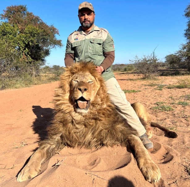 He slaughters animals including this lion