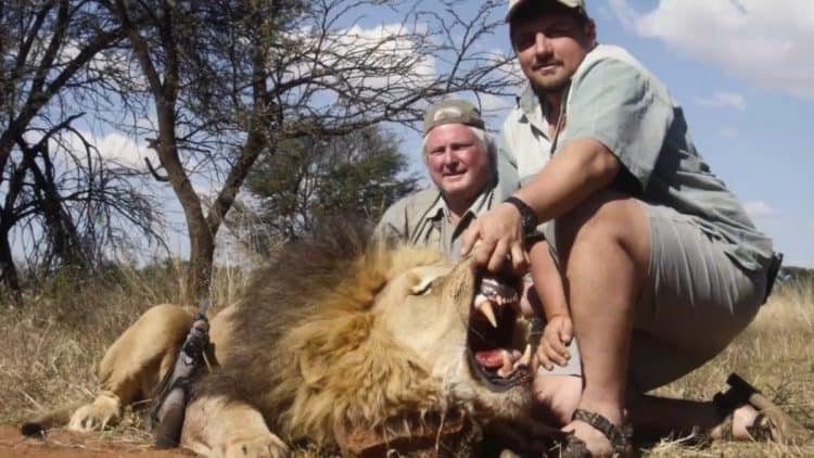 10 Stories Highlighting the Horrors of the Trophy Hunting Industry