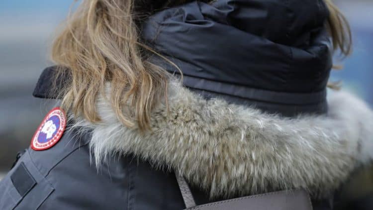 POLL: Should the use of wild animal fur in the manufacture of clothing be banned?