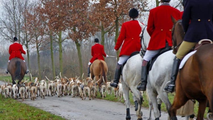 The Scottish government has proposed a bill which bans trail hunts and limits hunting with packs of dogs