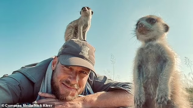 The 34-year-old lay on the floor to get a better angle for his photography and was greeted by a pack of meerkats