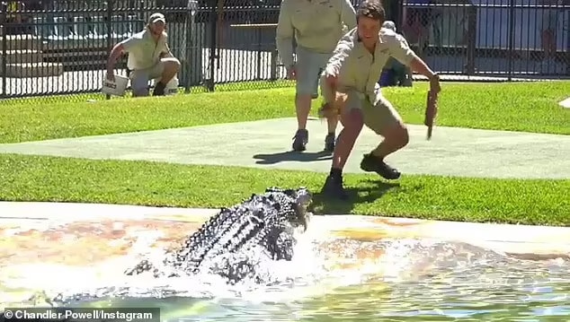 The American-born wakeboarder, 26, was running a show in the Crocoseum, narrated by mother-in-law Terri Irwin, when the huge reptile launched at him