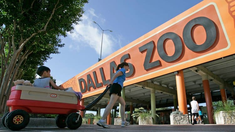 Dallas Zoo was forced to close as a major search was mounted (Image: Steve Helber/AP/REX/Shutterstock)