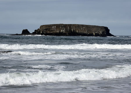 Oregon House Approves Marine Reserves, MPAs