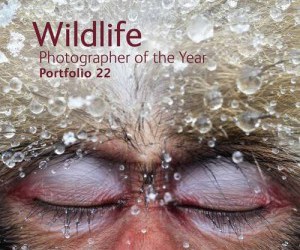 Wildlife Photographer of the Year Portfolio 22 book