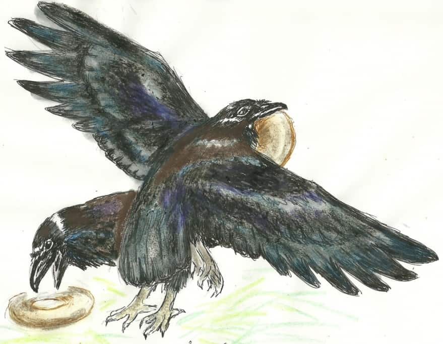 North American Ravens with Donuts by Susan J. Lee