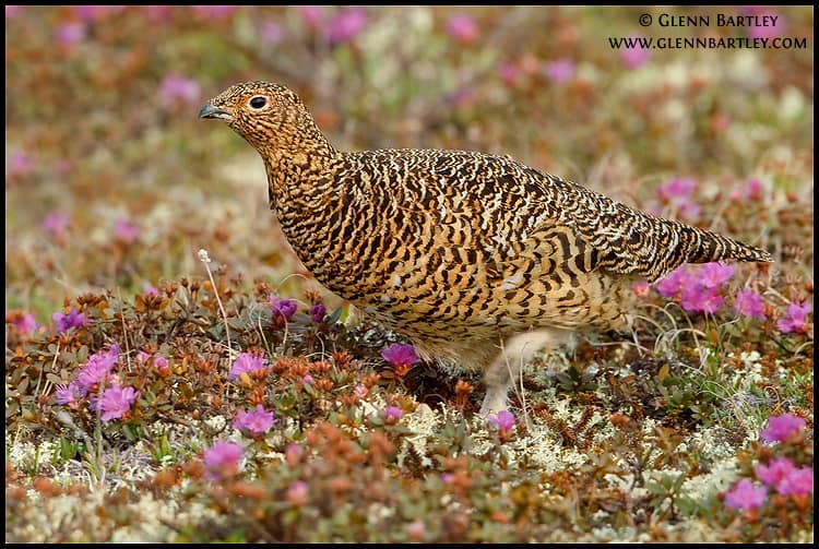 VOTE for the Best Photo of the Week 20 Sep 2014