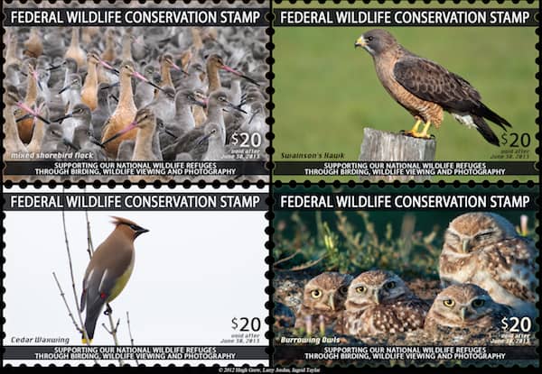 The Wildlife Conservation Stamp: An Additional Income Stream for Our National Wildlife Refuges