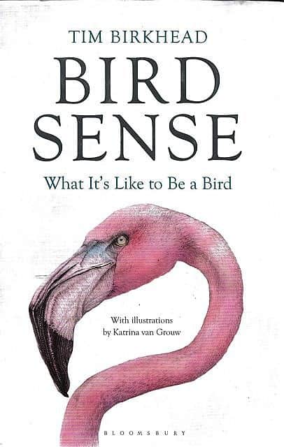 Review: Bird Sense: What It’s Like To Be A Bird, By Tim Birkhead ...