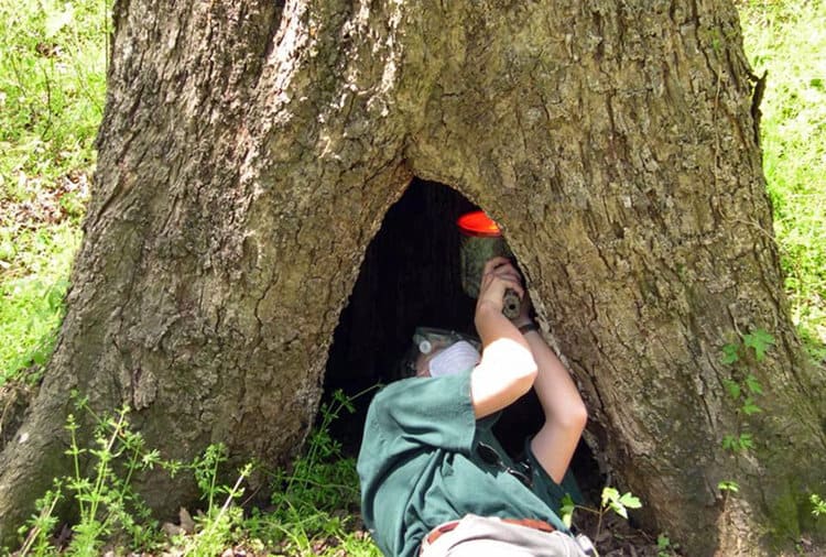 A researcher installs an acoustic sensor to record bats. Image by Alison McCartney via Flickr (CC BY 2.0).