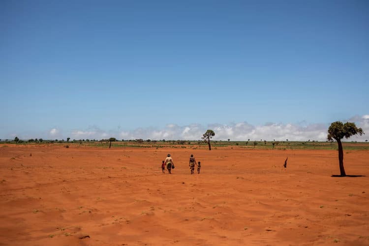 Madagascans walk through what was a field to collect food aid in Anjeky Beanatara, Androy, last year. Photograph: Alkis Konstantinidis/Reuters
