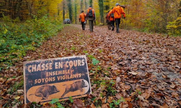 File photo of hunters walking past a sign reading ‘Hunt in progress, let's be careful together’ in Hirsingue, eastern France. Photograph: Sébastien Bozon/AFP/Getty Images