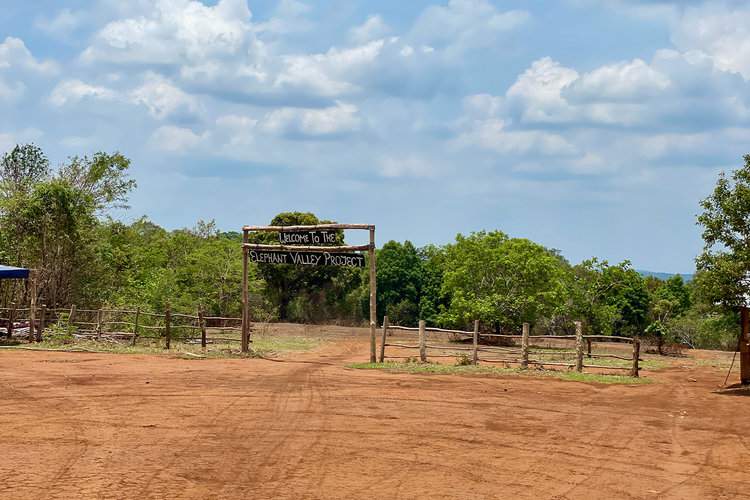 The entrance to the Elephant Valley Project. Image by John Cannon/Mongabay.