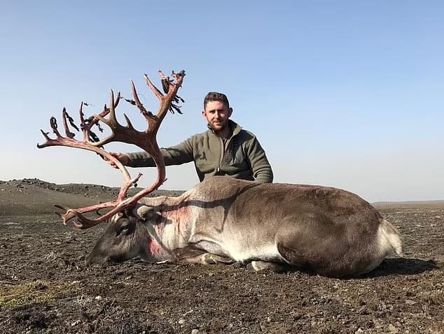 The reindeer 'shot for sport' on £2,000 Icelandic safari: British hunters share gruesome pictures online of slaughtered reindeer on a pre-Christmas trip