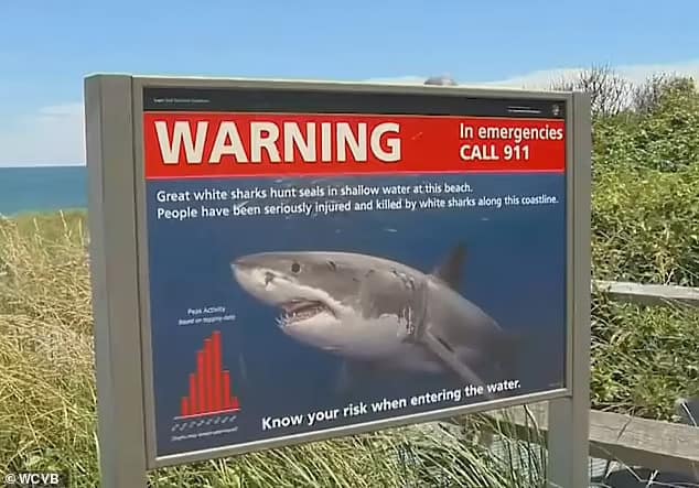 Signage is placed along many of the Florida beaches warning swimmers, surfers, to 'know your risk when entering the water.' Florida has topped the global charts for for shark bites and accounts for nearly 40% of unprovoked shark bites worldwide, according to The International Shark File (ISAF)