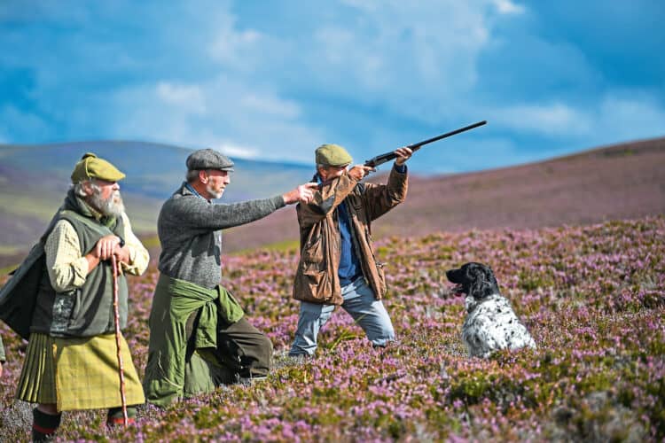 Grouse. Blood Sports. Land – Bella Caledonia Creator: Jeff J Mitchell Credit: Getty Images