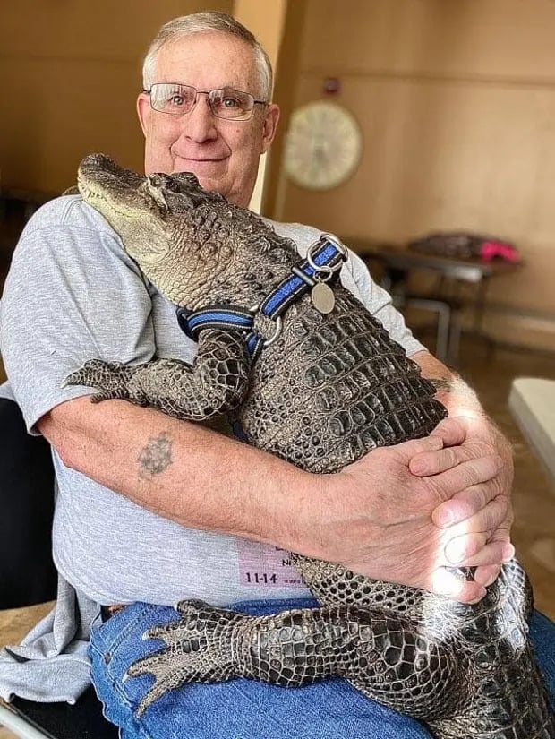 How an alligator became an emotional support animal: ‘They said it was a midlife crisis’