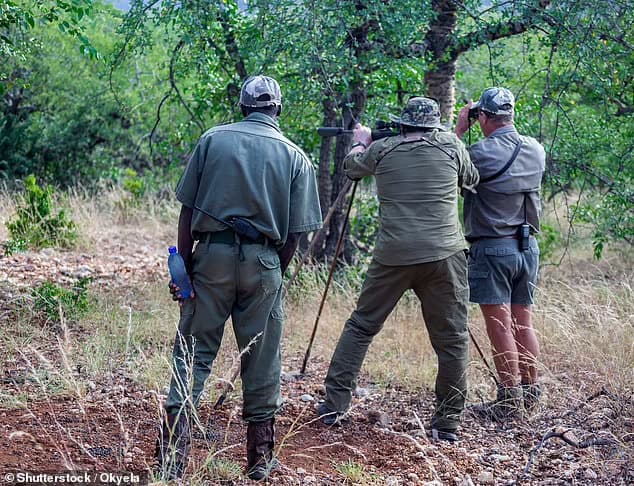 The ultimate aim of the legislation is to stop UK nationals from killing endangered animals in the first place. It brings Britain into line with countries including the United States, Australia and France. Pictured: File photo of three men during a trophy hunt in Africa