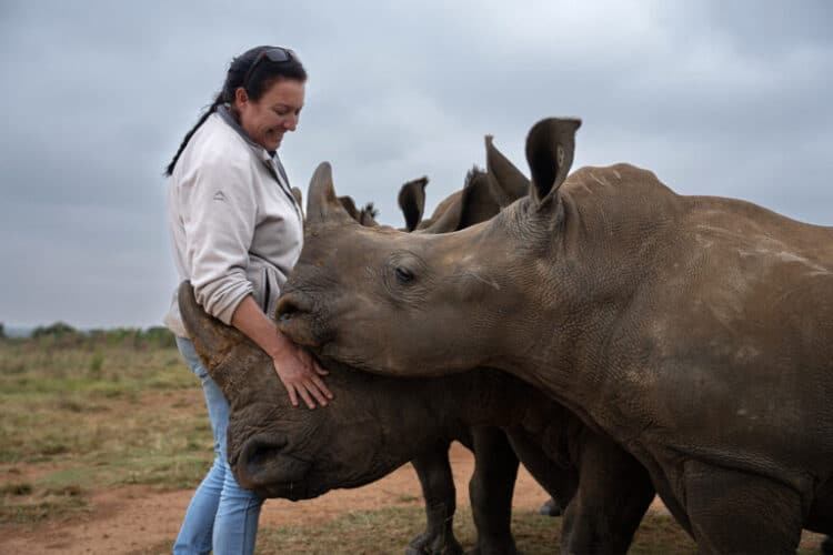Orphanage manager Claudia Andrione with older rhino orphans at Platinum Rhino. Image by Jim Tan for Mongabay.