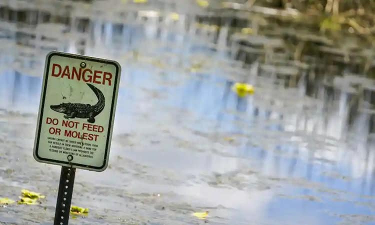 A man died searching for Frisbees in a lake at a disc golf course where people are warned by signs to beware of alligators