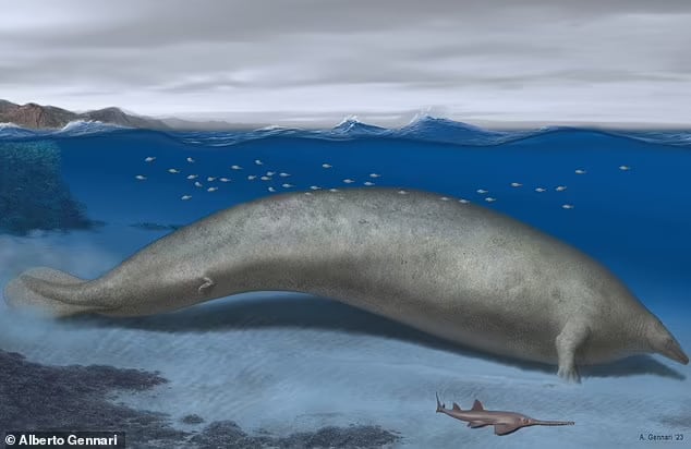 Like a slug with legs: An artist's depiction of Perucetus colossus in its coastal habitat. Its estimated body length was around 65 feet (20 meters)