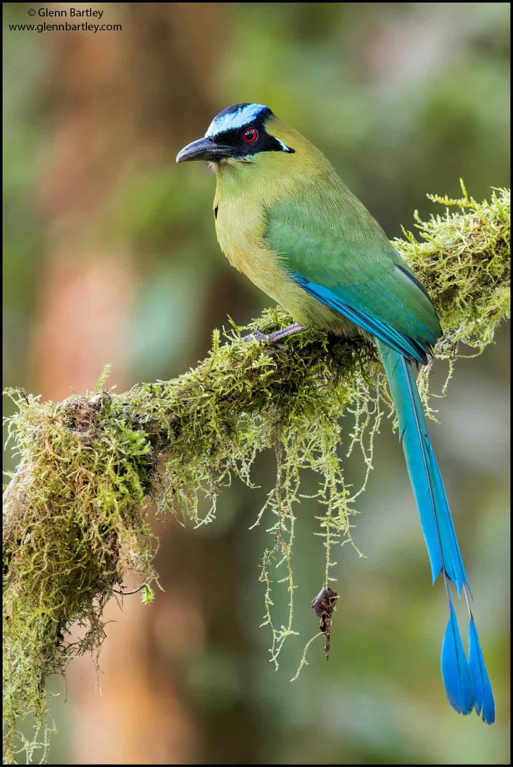 VOTE for the Best Photo of the Month June 2026