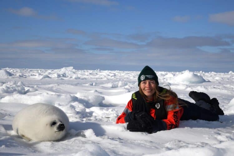 Canada's commercial hunting has devolved into the unnecessary slaughter of threatened harp seals