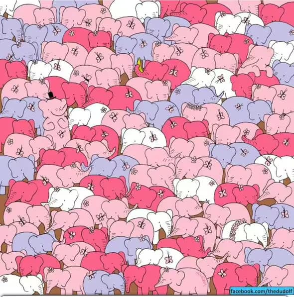 Only those with a high IQ can find a heart among the elephants in under 15 seconds