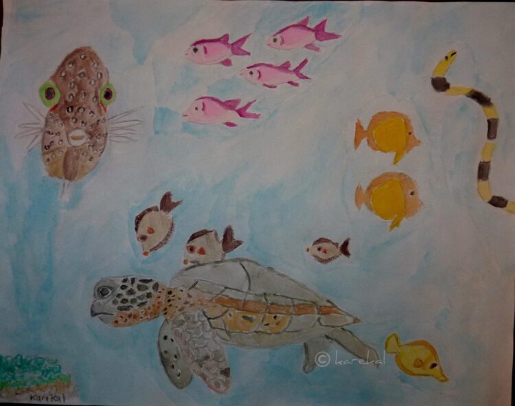 April 3rd Is World Aquatic Animal Day