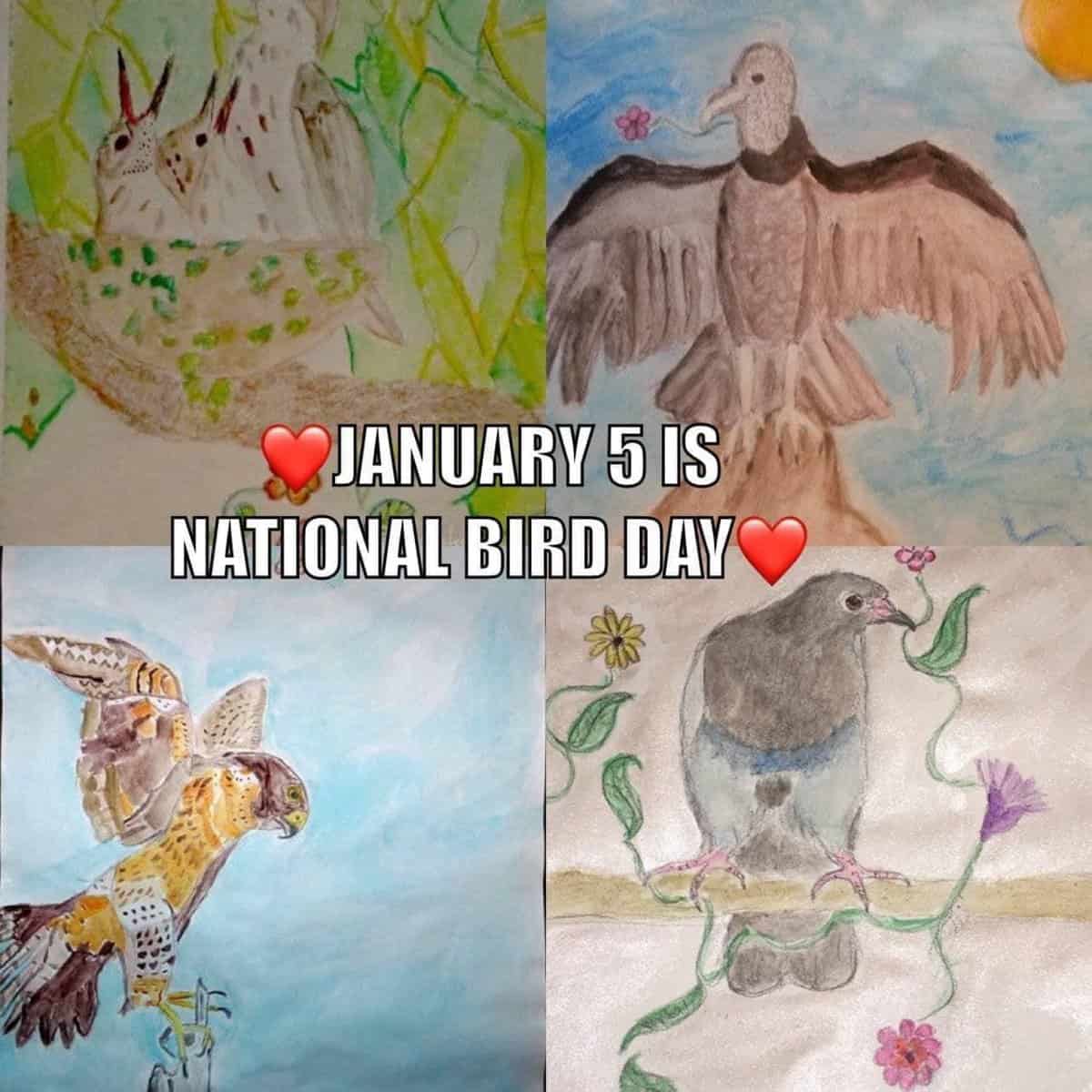 January 5th Is National Bird Day 