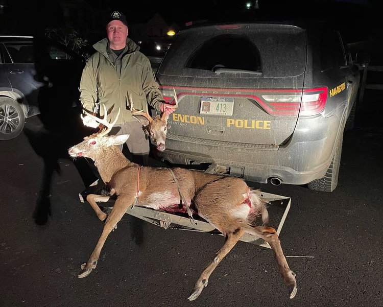 ECO Vencak seized two deer from a poacher in Otsego County on Nov. 7.NYSDEC