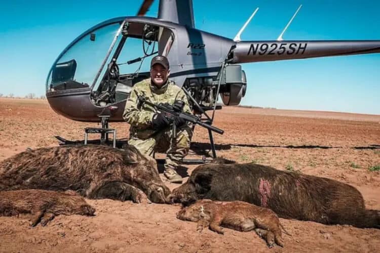 Hunters slaughtering pigs from the air is a craze dubbed ‘Hogpocalypse Now’ – apparently inspired by the 1979 film Apocalypse Now, in which a US soldier aboard a military helicopter shoots unarmed Vietnamese civilians.