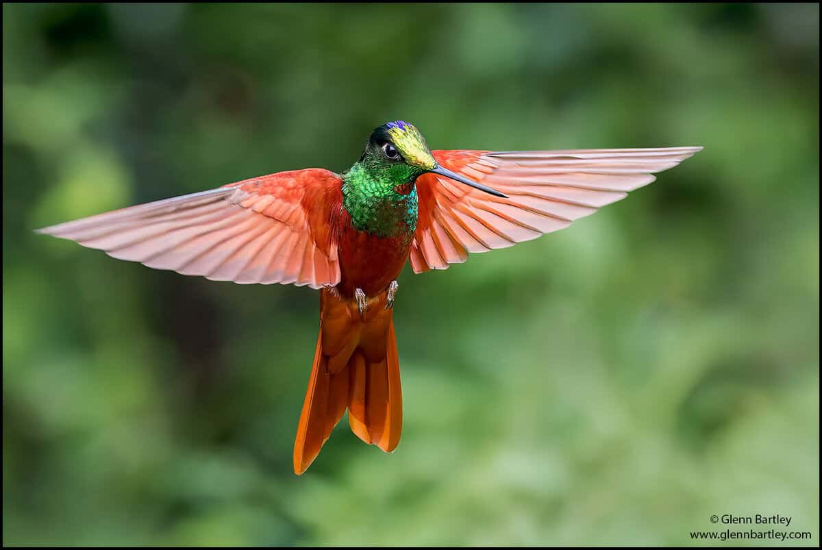 VOTE for the Best Photo of the Month April 2026