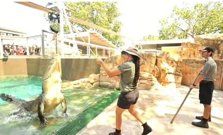 The female zookeeper was rushed to hospital following the attack (Image: FACEBOOK/CROCOSAURUS COVE DARWIN)