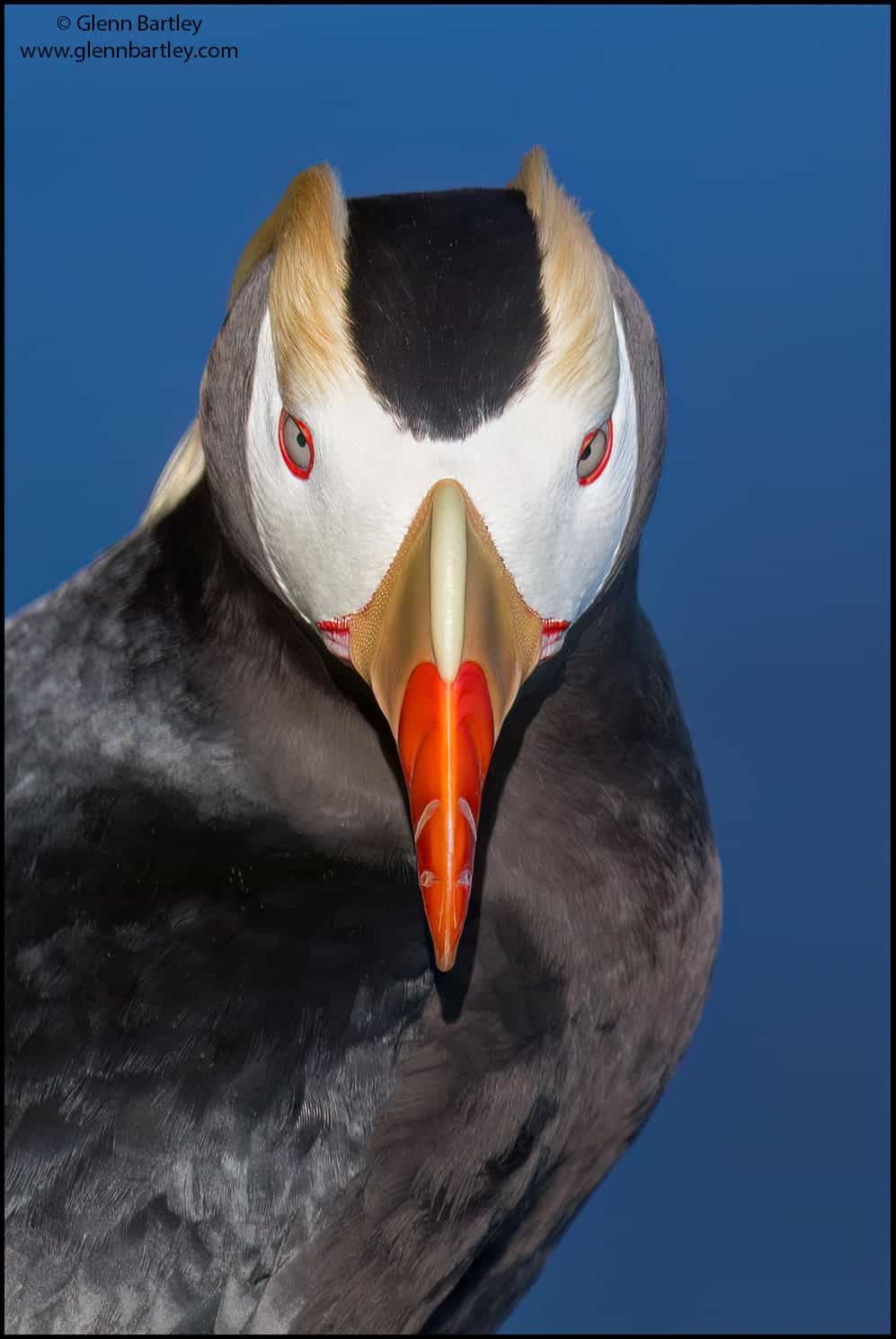 VOTE for the Best Photo of the Month June 2025