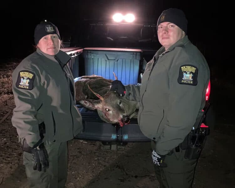 ECOs Okonuk (left) and Garrand (right) seized this buck on Nov. 12 in Malone from a poacher who shot it while leaning over the hood of his car.NYSDEC