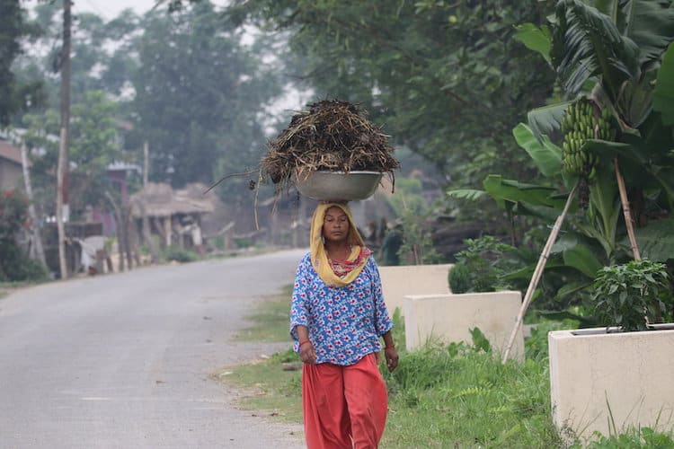 A woman goes about with her daily chores in Amaltari, in the buffer zone of Chitwan National Park. Image by Abhaya Raj Joshi / Mongabay.