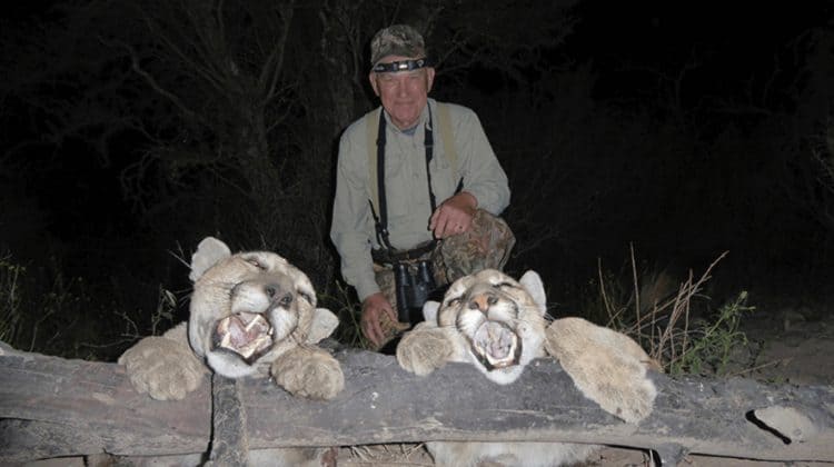 Hunter in argentina displays two pumas