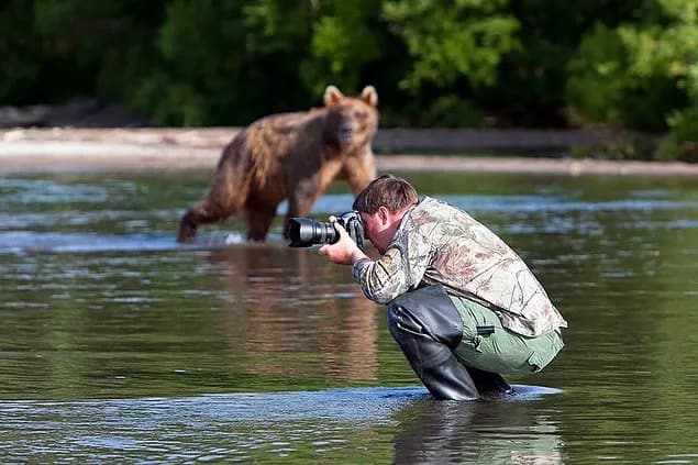 10 Things to Know About Working as a Wildlife  Photographer